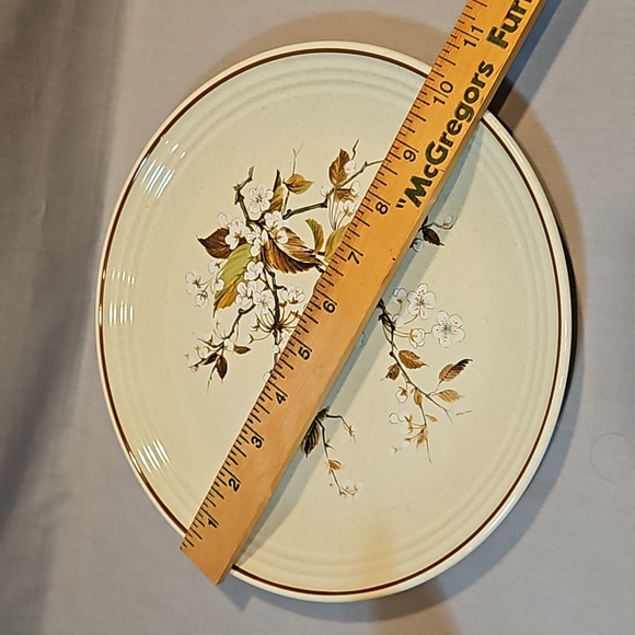 NEW Royal Doulton Wild Cherry 1038 Dinner Plate Lambethware - Picture 4 of 6